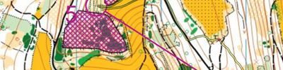 British Night Champs